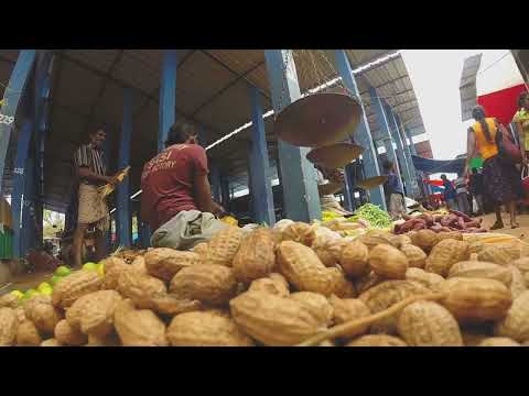 Cambodia: From Ancient Kingdoms to Digital Startups